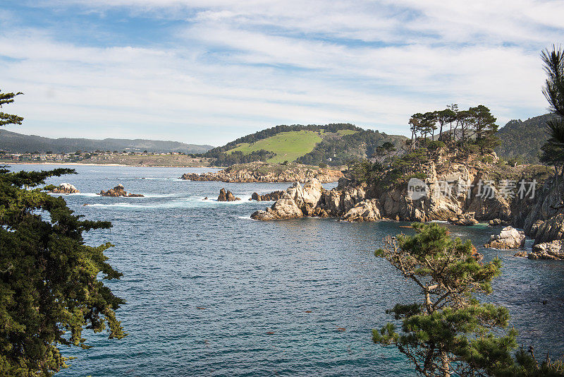 Point Lobos州立公园